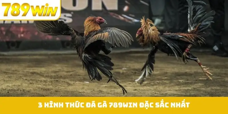 3 hình thức đá gà 789WIN đặc sắc nhất