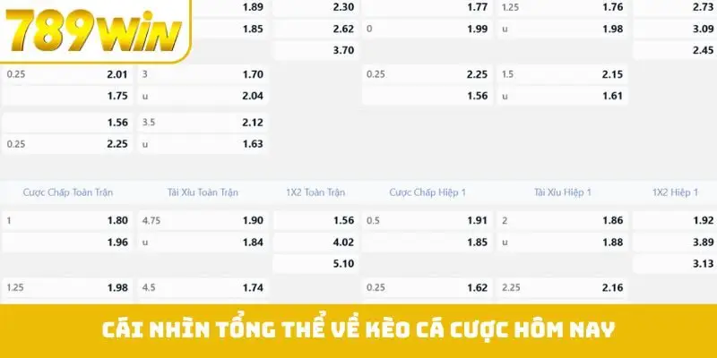 Cái nhìn tổng thể về kèo cá cược hôm nay