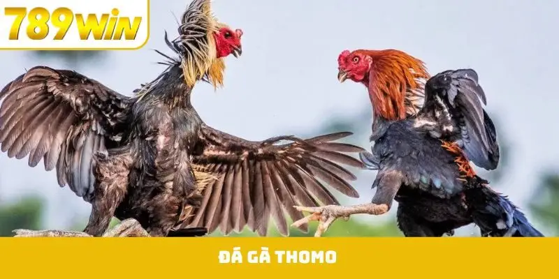 Tướng Gà Chọi Thần Kê