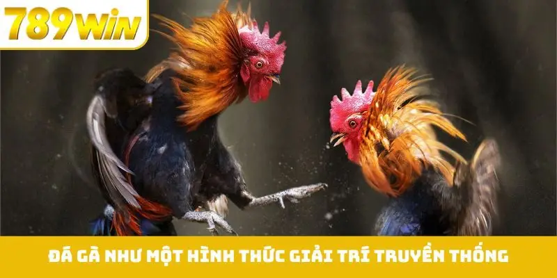 Đá gà hiện nay như một hình thức giải trí truyền thống
