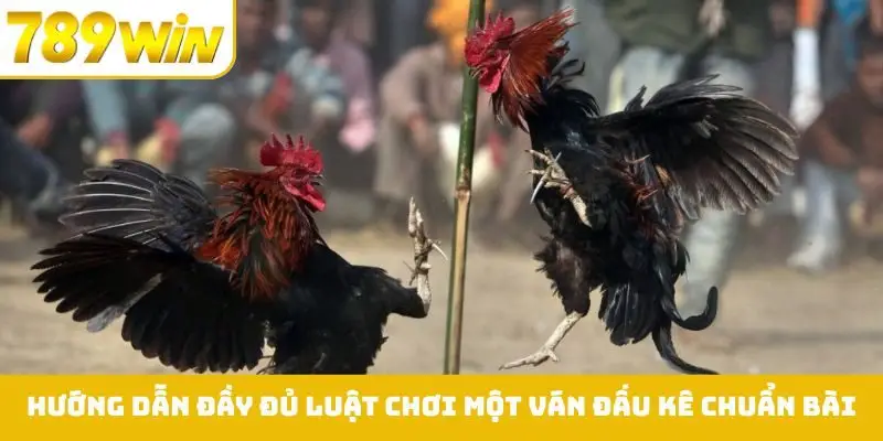 Hướng dẫn đầy đủ luật chơi một ván đấu kê chuẩn bài