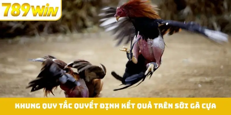 Khung quy tắc quyết định kết quả trên sới gà cựa