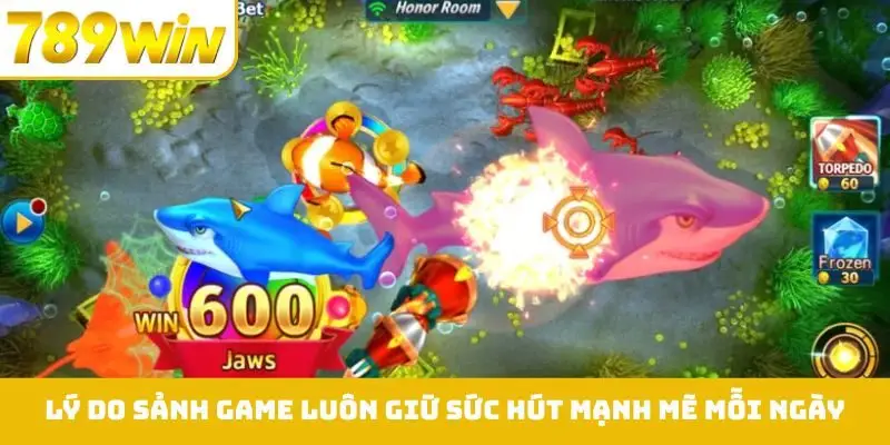 Lý do sảnh game luôn giữ sức hút mạnh mẽ mỗi ngày