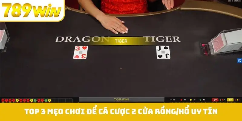 Top 3 mẹo chơi để cá cược 2 cửa rồng/hổ uy tín